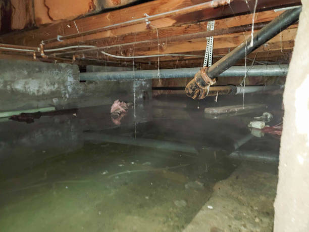 Best 24/7 water damage repair  in La Verkin, UT