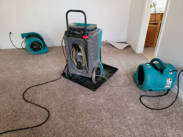 Carpet water damage restoration in La Verkin, UT