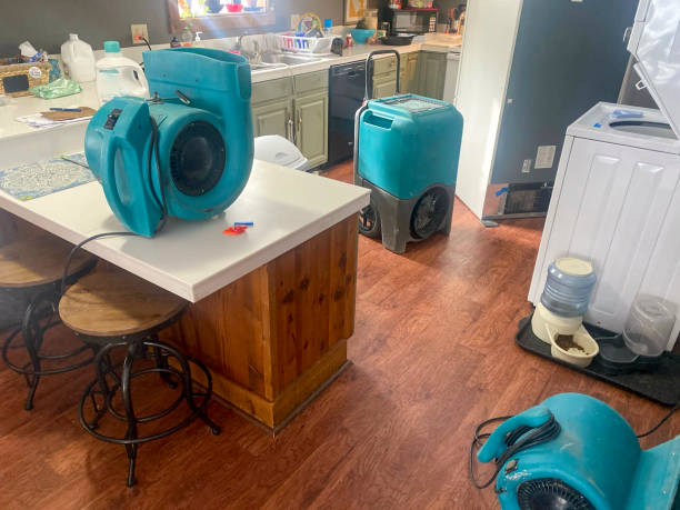 Best Water damage cleanup near me  in La Verkin, UT