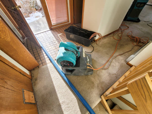 Best Residential water damage restoration  in La Verkin, UT