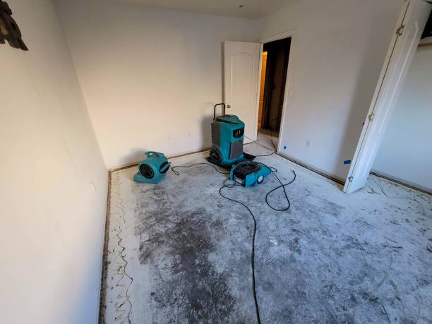 Best Fire Damage Restoration  in La Verkin, UT