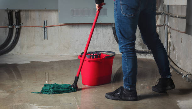 Best Water damage contractors near me  in La Verkin, UT