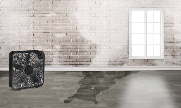 Trusted La Verkin, UT Water damage restoration Experts