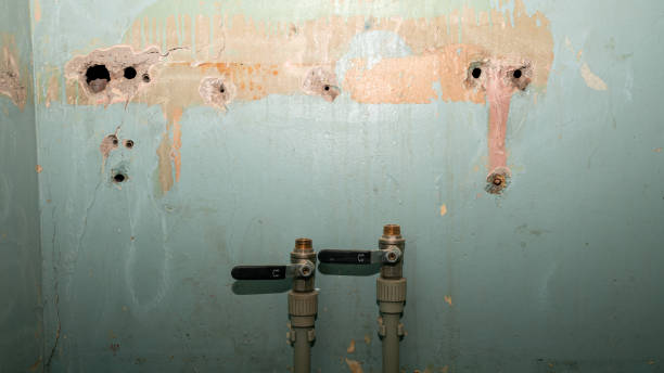 Best Professional water damage repair  in La Verkin, UT