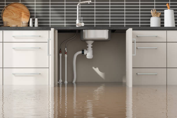 Best Water damage contractors near me  in La Verkin, UT