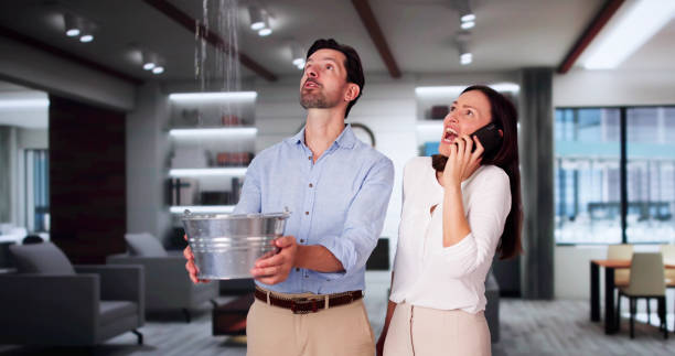 Best Basement water damage restoration  in La Verkin, UT